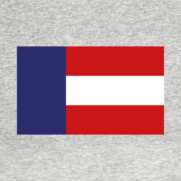 The First Georgia Flag by FranklinPrintCo